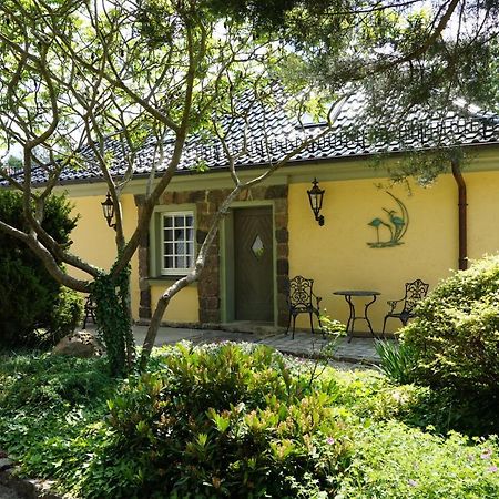 Hanghaus Der Villa Oderblick Oderberg المظهر الخارجي الصورة